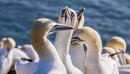 菏泽城发债权收益权