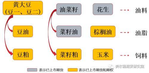 黄大豆1号、黄大豆2号和豆油期货期权上市啦<strong></p>
<p>豆油 期货</strong>！上市策略展望请收好！