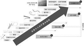 深圳惠泰医疗器械股份有限公司2022年度报告摘要