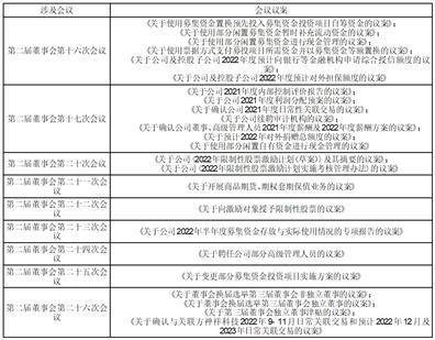 安徽万朗磁塑股份有限公司 2022年度第二届董事会独立董事述职报告