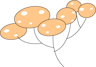 玉洁巷盲盒<strong></p>
<p>虚拟币盲盒</strong>，开出五湖四海