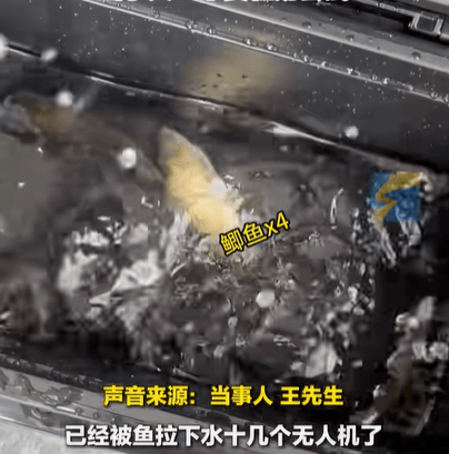 男子在家操控无人机钓鱼<strong></p>
<p>币赢虚拟货币</strong>，当天就钓上十几条，当事人：不要轻易尝试，已被鱼拉下水十几个无人机