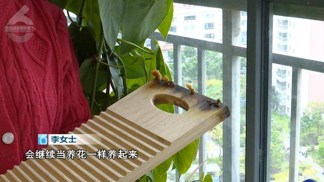 “可以蒸蛋”！昆明一女子家中搓衣板上长菌<strong></p>
<p>虚拟币国家认可吗</strong>，品种竟是……