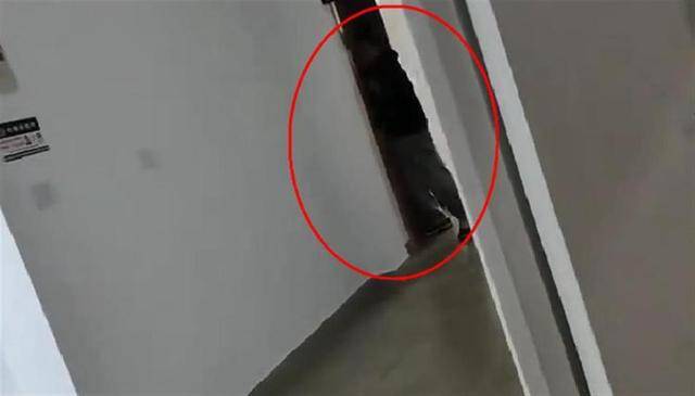 上海一高校男生晚上撞开女生寝室门<strong></p>
<p>虚拟币虚拟充值软件</strong>，校方：醉酒后走错了