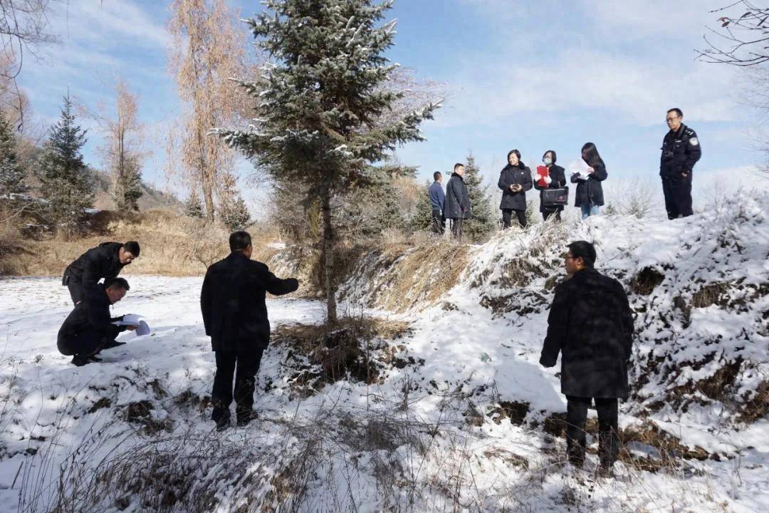 还有8天刑满释放<strong></p>
<p>虚拟币福源币</strong>，十年有期徒刑变为死缓，最高检抗诉的甘肃马某林案获改判