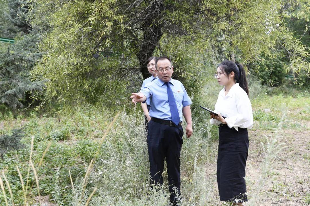 还有8天刑满释放<strong></p>
<p>虚拟币福源币</strong>，十年有期徒刑变为死缓，最高检抗诉的甘肃马某林案获改判
