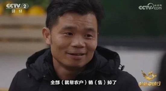 2024年末央视再度专访钟睒睒<strong></p>
<p>虚拟可汗币</strong>，背后有何深意？