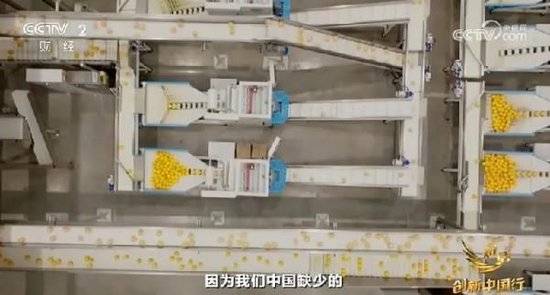 2024年末央视再度专访钟睒睒<strong></p>
<p>虚拟可汗币</strong>，背后有何深意？