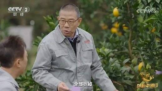 2024年末央视再度专访钟睒睒<strong></p>
<p>虚拟可汗币</strong>，背后有何深意？