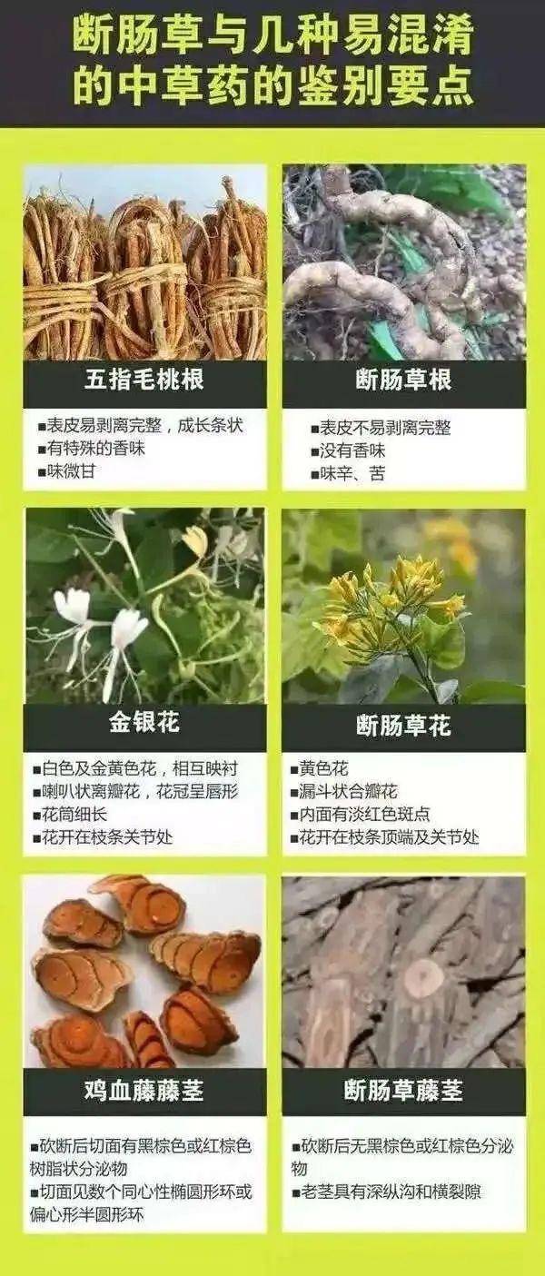 广东一老人买药材煲汤中毒身亡 当地：店铺误售断肠草<strong></p>
<p>可汗虚拟币</strong>，老板被拘留