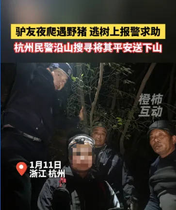 “我现在在树上<strong></p>
<p>虚拟币中国银行</strong>，野猪在下面……”杭州一男子深夜报警！