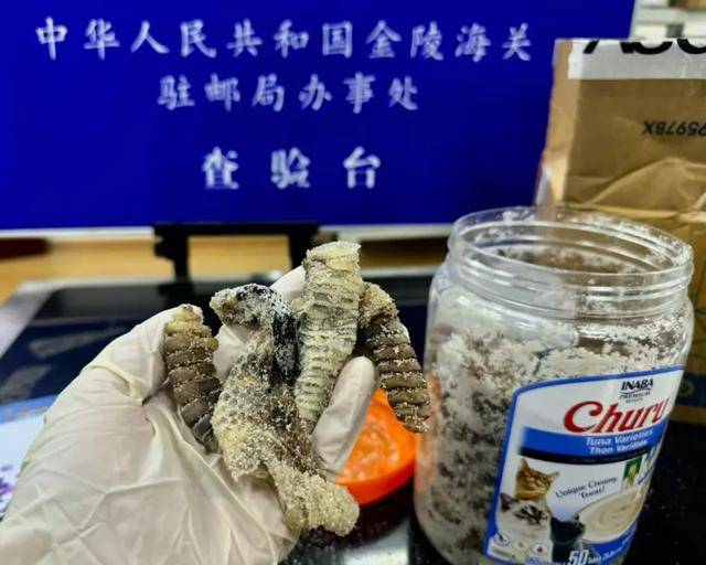 离谱！2.4斤生腌响尾蛇<strong></p>
<p>最大虚拟币交易平台</strong>，被藏在零食罐里……