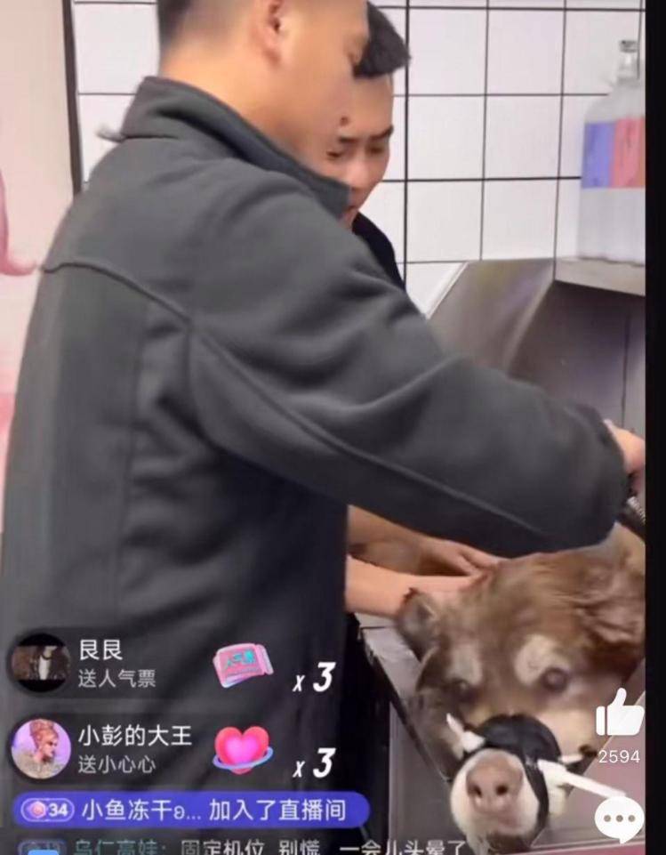 千万粉丝训犬师网红潘宏账号内容被一夜清空<strong></p>
<p>虚拟币全球排行榜</strong>，园区所在地官方：正调查