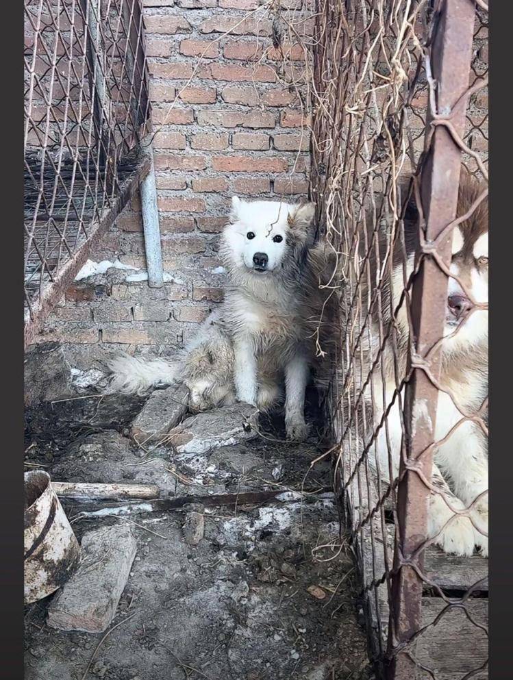 千万粉丝训犬师网红潘宏账号内容被一夜清空<strong></p>
<p>虚拟币全球排行榜</strong>，园区所在地官方：正调查