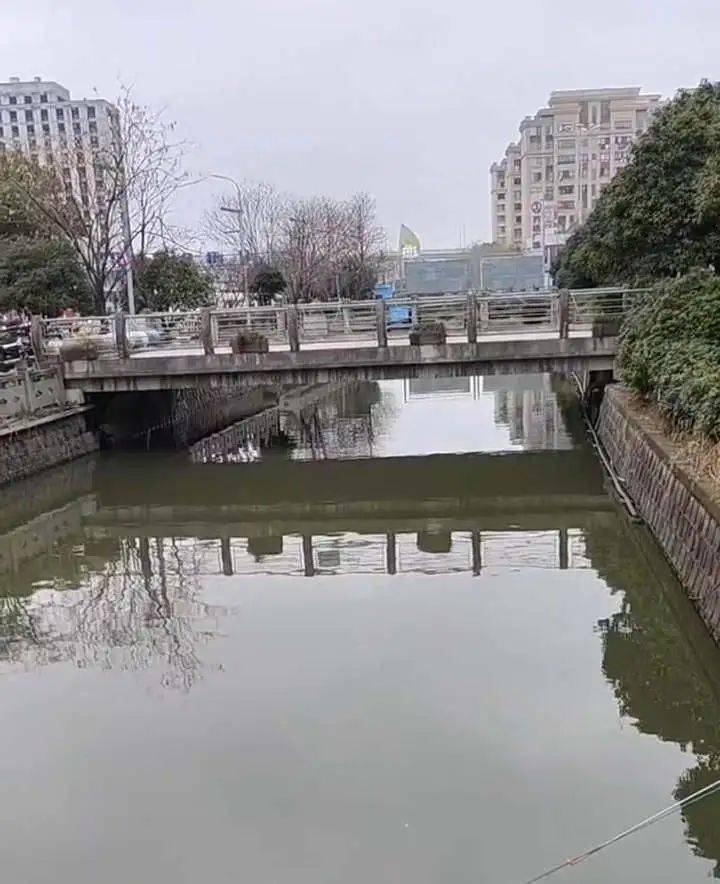 痛心！她于凌晨不幸去世<strong></p>
<p>最新上线的虚拟币</strong>，年仅19岁