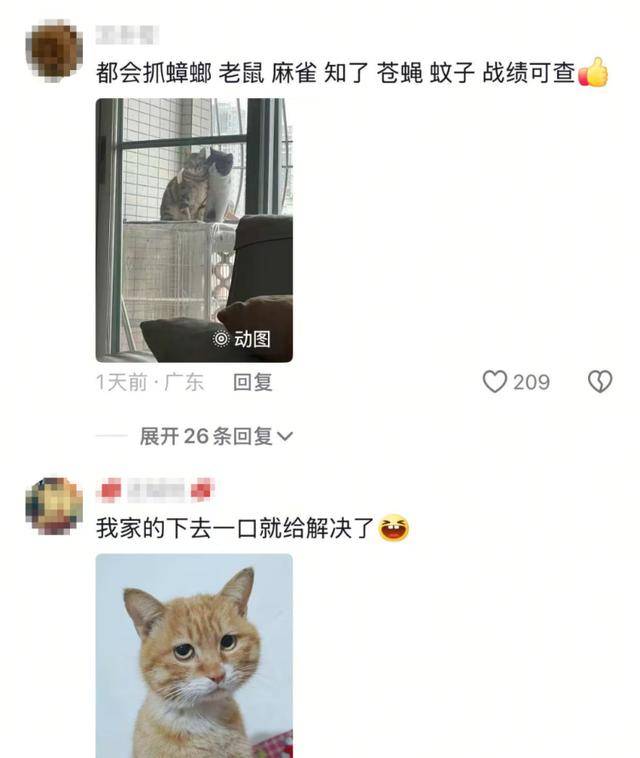 老鼠掉进泳池<strong></p>
<p>2017虚拟币行情</strong>，广东大叔出动鸡猫狗团队，结果全被老鼠吓跑！网友坐不住纷纷晒战绩