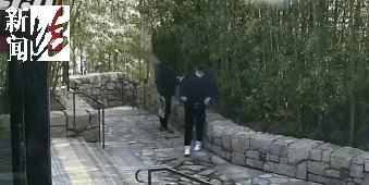 太猖狂！事发上海迪士尼<strong></p>
<p>矿工</strong>，7人被刑拘