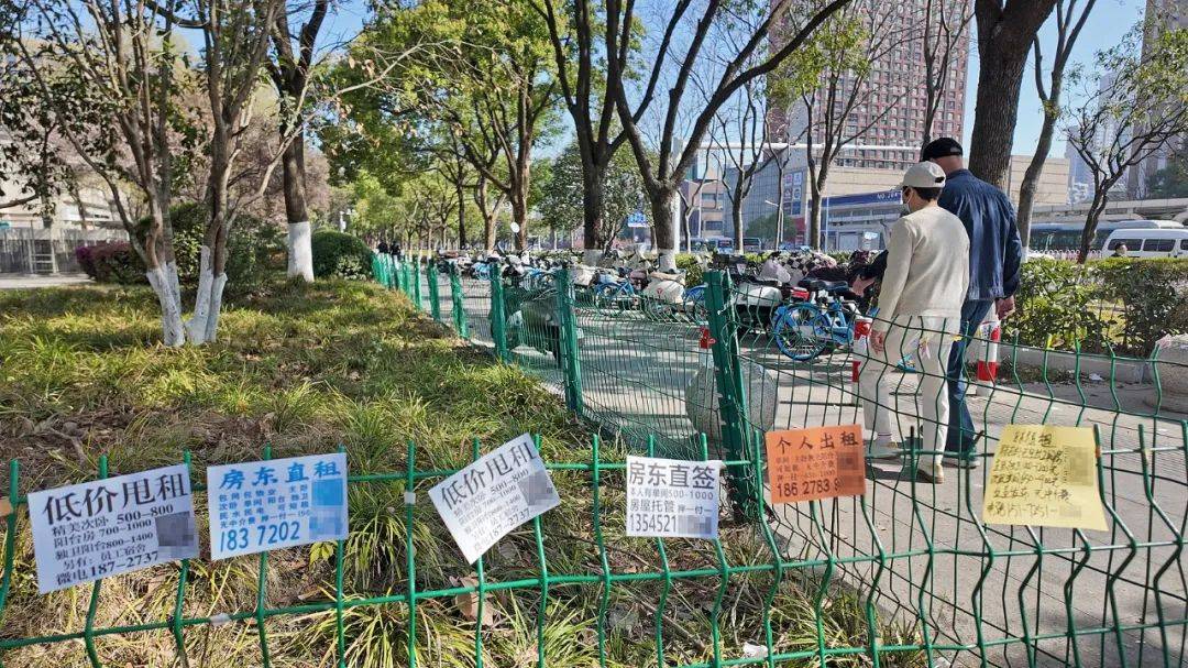 一二线城市房租普降<strong></p>
<p>矿工</strong>，房东主动降200留我