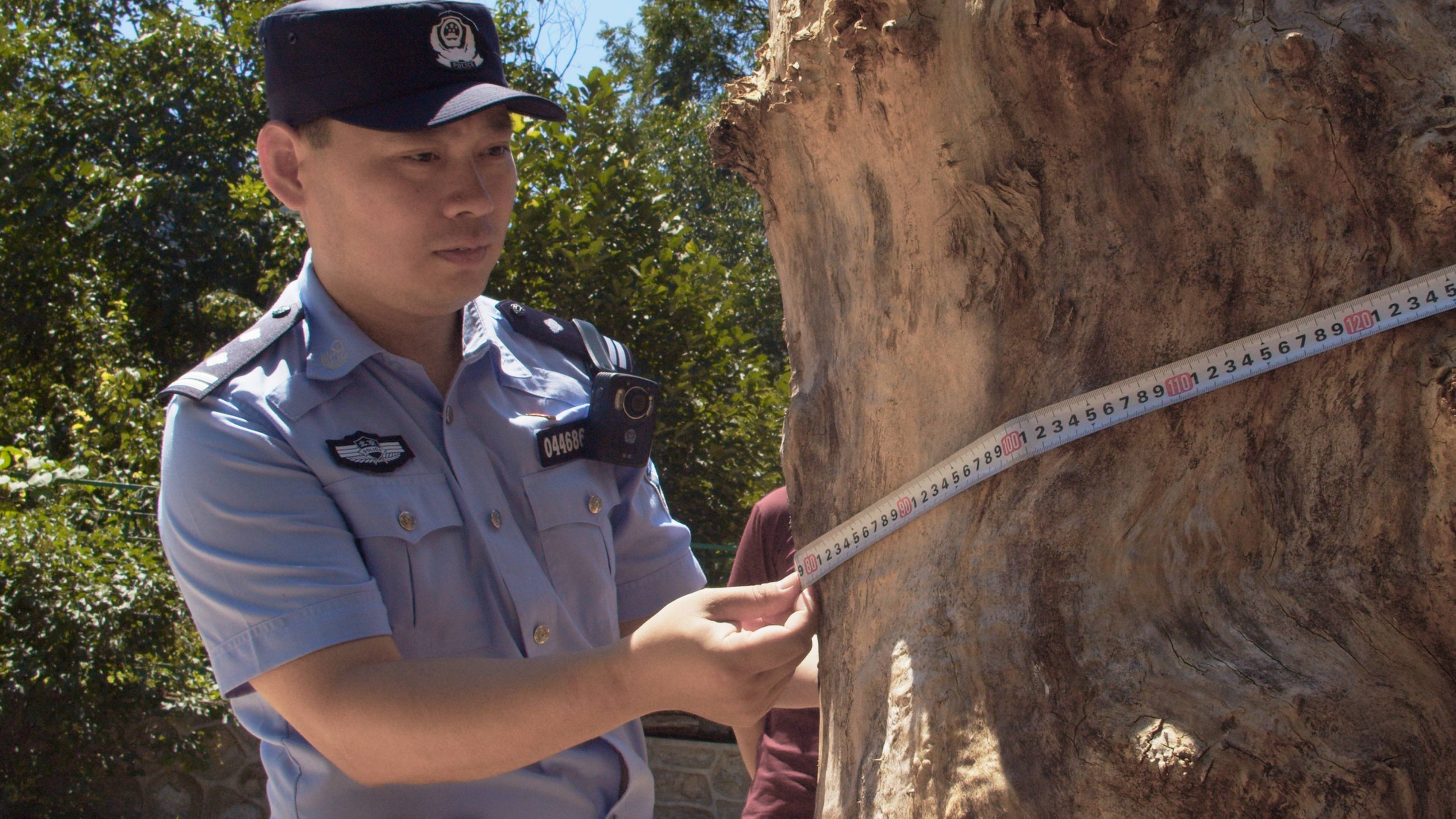 森林警察韩孟祺：乔装成驴友潜伏密林中<strong></p>
<p>虚拟币发行的条件</strong>，抓获“粘鸟”嫌疑人