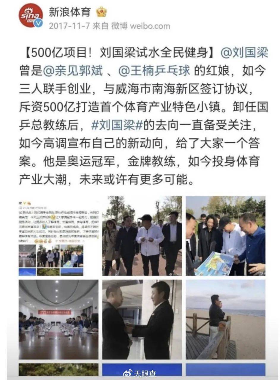 刚辞去中国乒协主席职务的刘国梁关联多家企业<strong></p>
<p>虚拟Q币充值系统</strong>，持股人包括其妻子和岳父