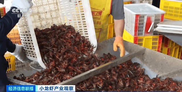 价格暴跌近50%<strong></p>
<p>虚拟币购买app</strong>！“接下来还会降”！青岛正大量上市……