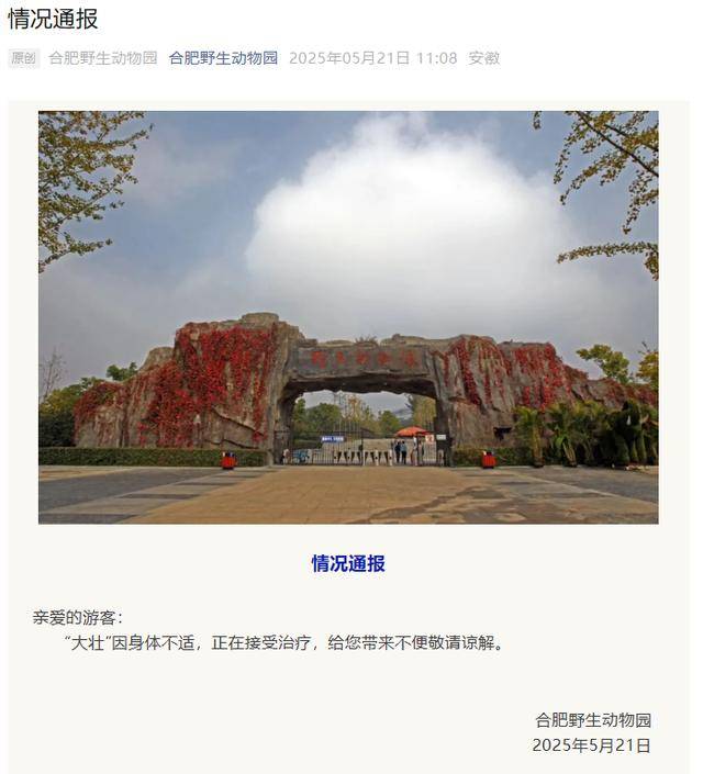 网红猴“大壮”突然离世<strong></p>
<p>比特币和虚拟货币</strong>！曾因方脸“丑”出圈