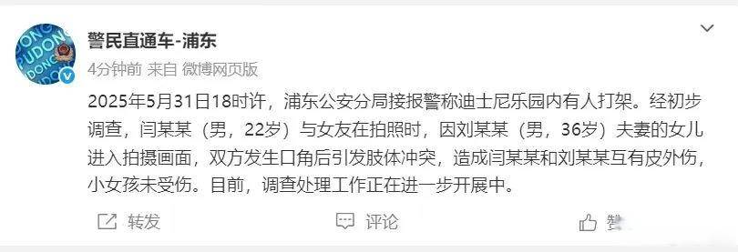 上海迪士尼游客打架<strong></p>
<p>虚拟货币</strong>，属地部门：因孩子进入对方取景框引起冲突