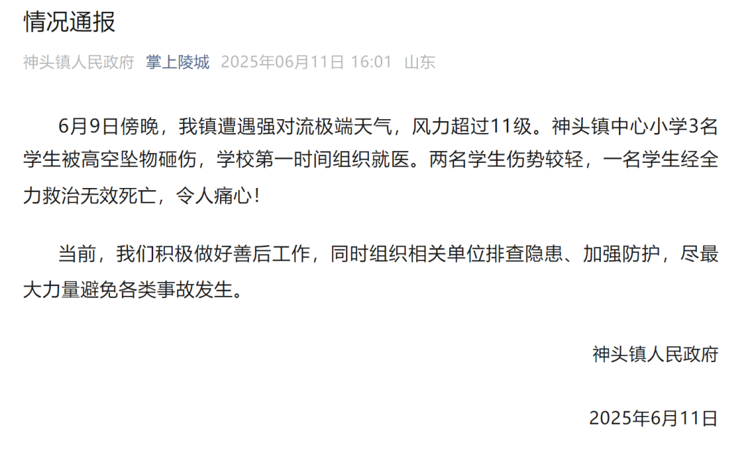 山东德州通报“小学楼顶光伏板掉落砸中多名学生”：3名学生被砸伤<strong></p>
<p>蜘蛛</strong>，1名学生经全力救治无效死亡