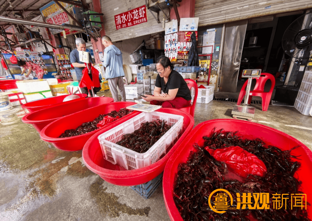 价格腰斩<strong></p>
<p>营业执照</strong>！13元/斤！南昌正大量上市