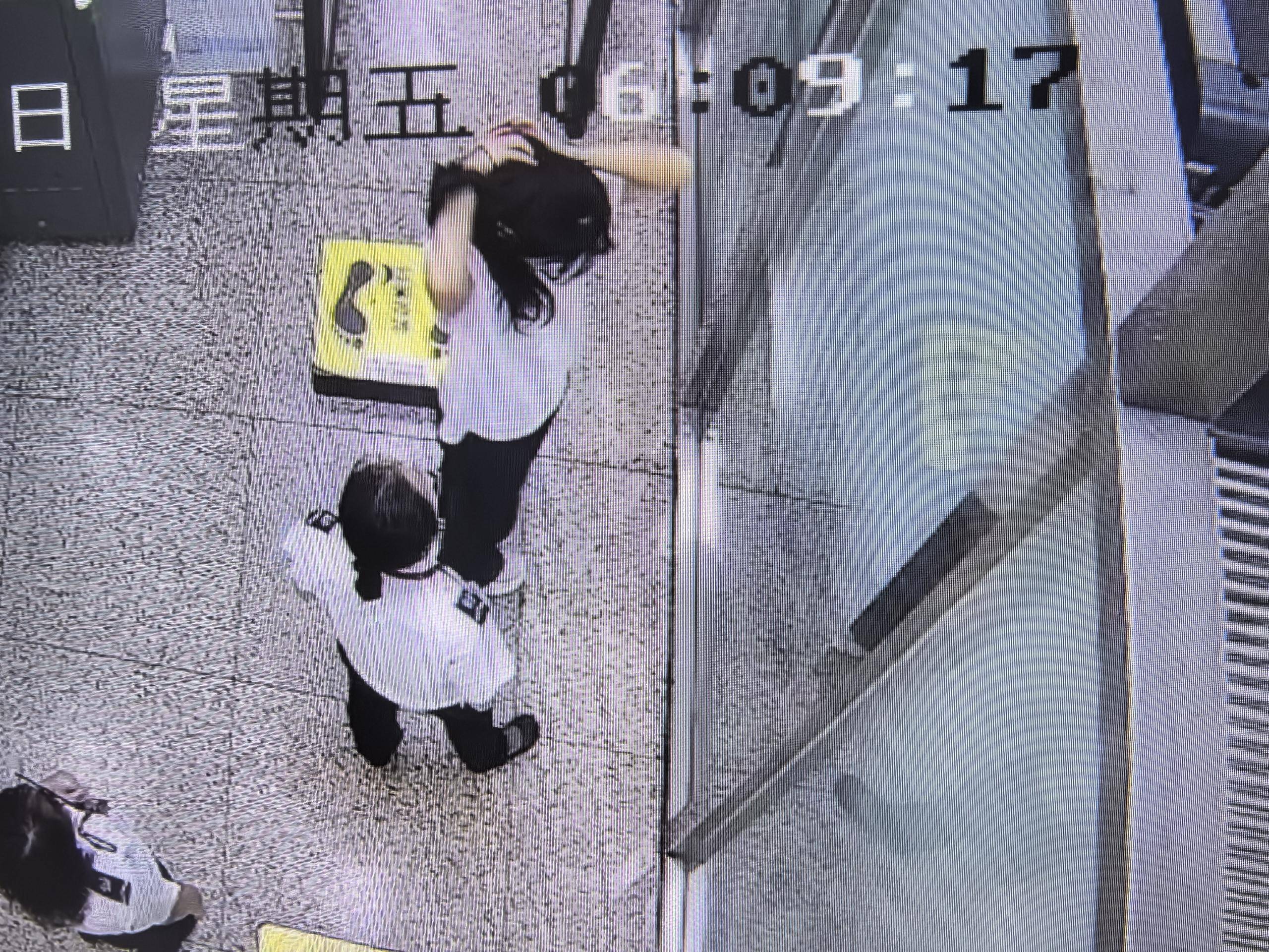 女子将宠物乌龟藏在蝴蝶结盘发内<strong></p>
<p>店面</strong>，过安检乘飞机时被查 警方：批评教育