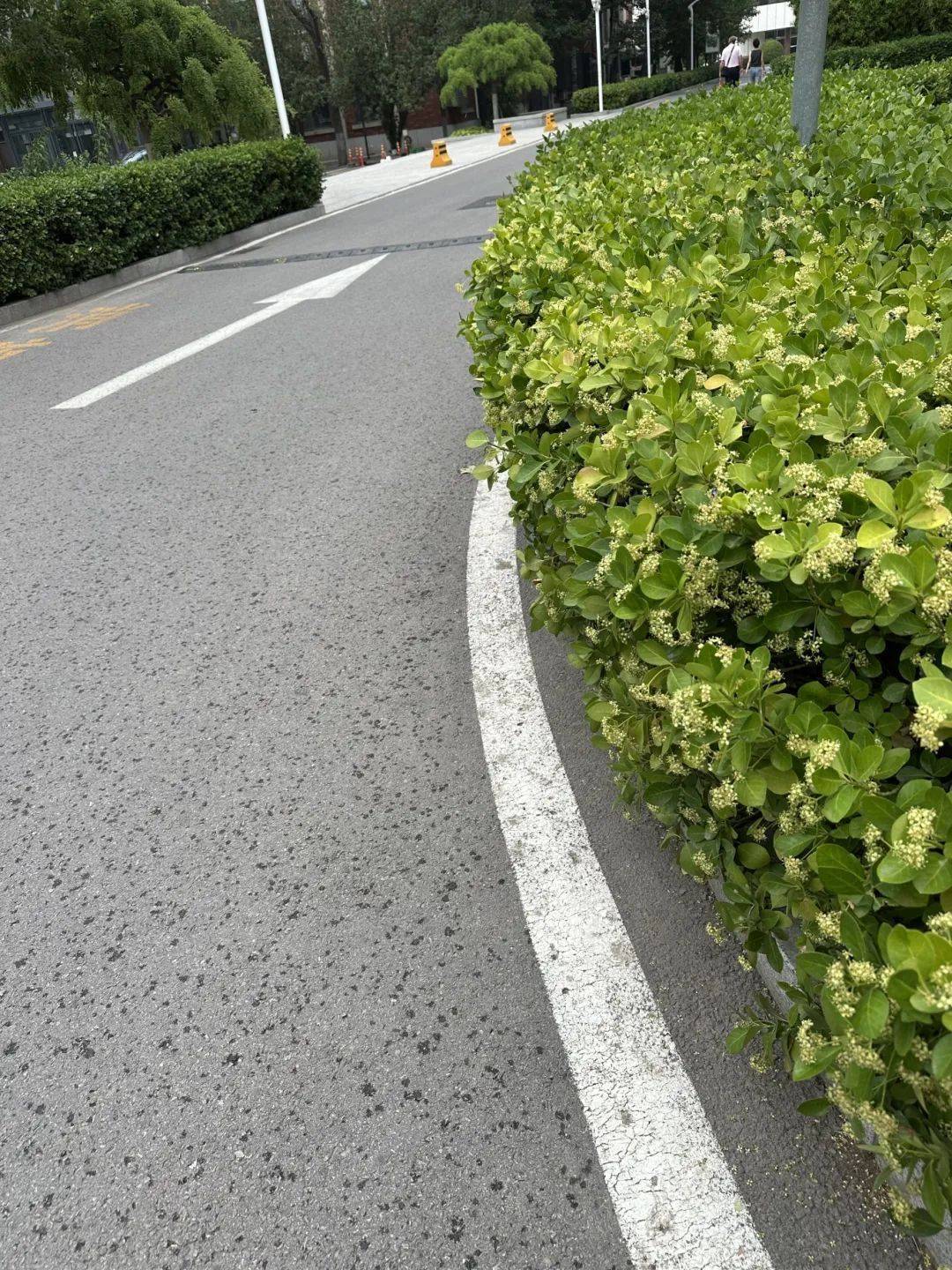 下雨了<strong></p>
<p>克制</strong>！天津接下来十天都是……