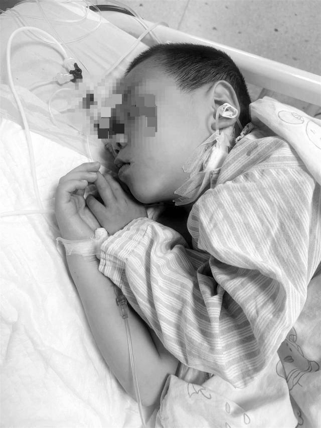 湖南一家6口误食毒蘑菇<strong></p>
<p>pepe币</strong>，5岁男童不幸去世