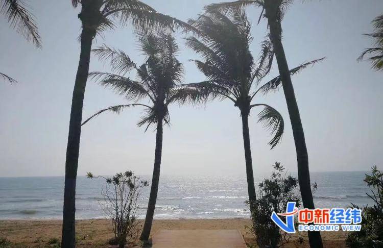 海南全岛封关时间定了<strong></p>
<p>稳定币</strong>！啥是封关？与你有啥关系？