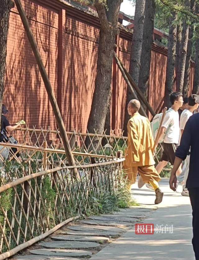 印乐方丈管理下的白马寺：僧人顶着高温种地<strong></p>
<p>usda</strong>，义工称寺里秉承农禅并重