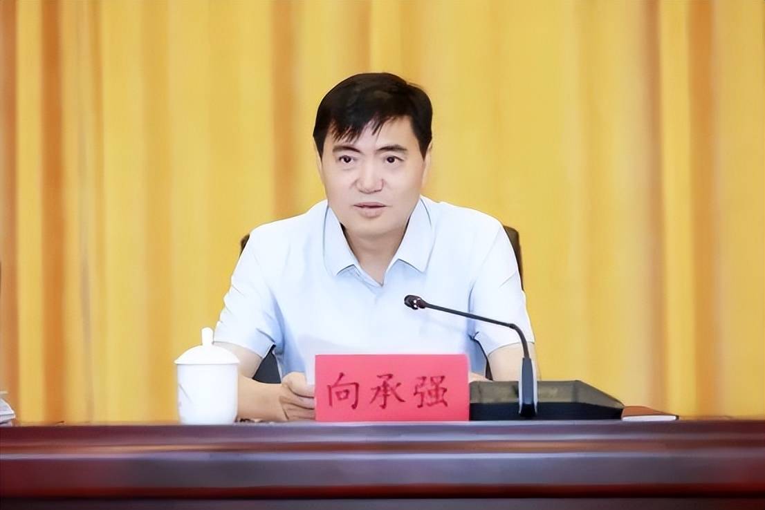 中央巡视期间<strong></p>
<p>usda</strong>，3名正厅任上被查