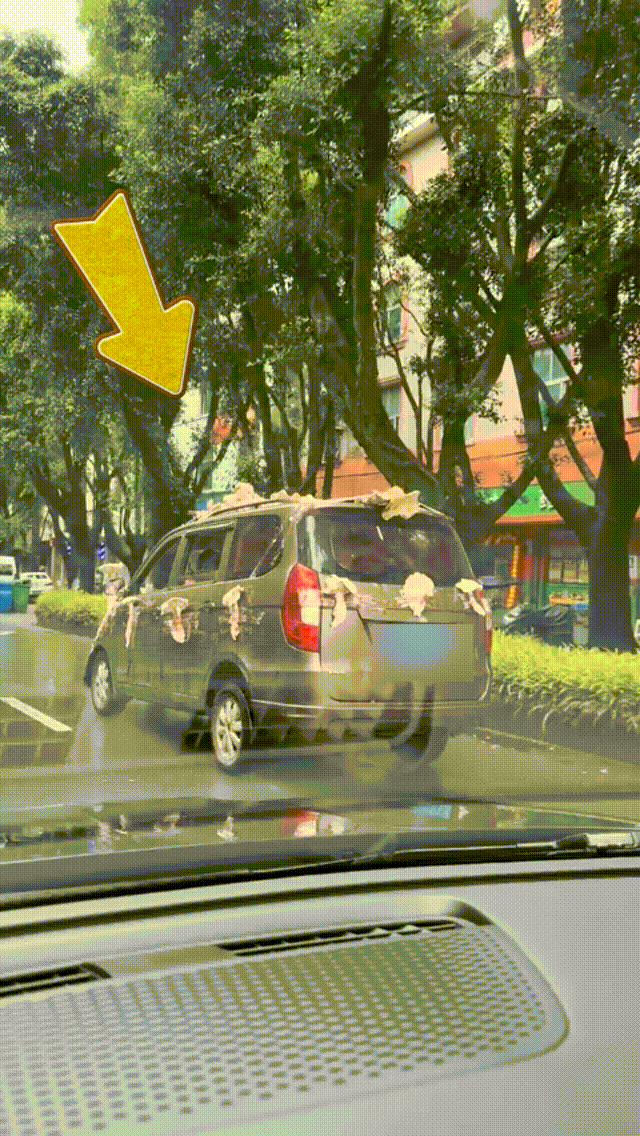 男子驾驶“鸡枞战车”满街跑<strong></p>
<p>美元稳定币</strong>，交警紧急叫停！