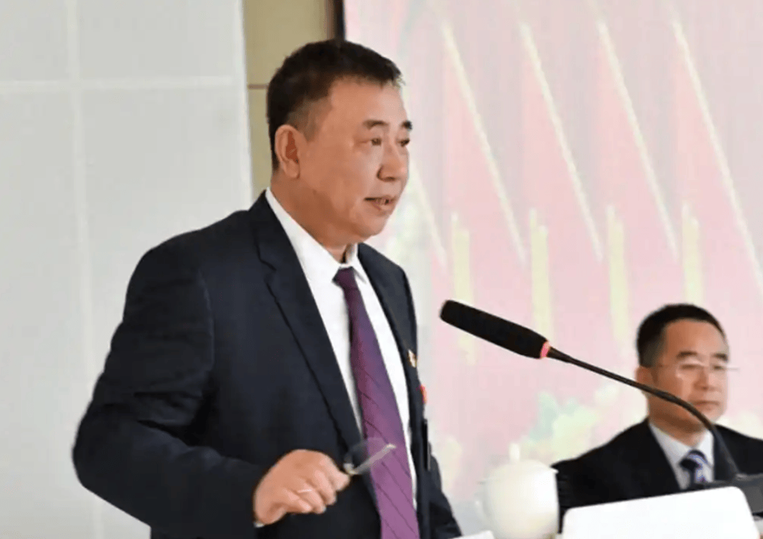 涉嫌严重违纪违法<strong></p>
<p>美元稳定币</strong>，原董事长邵阳被查