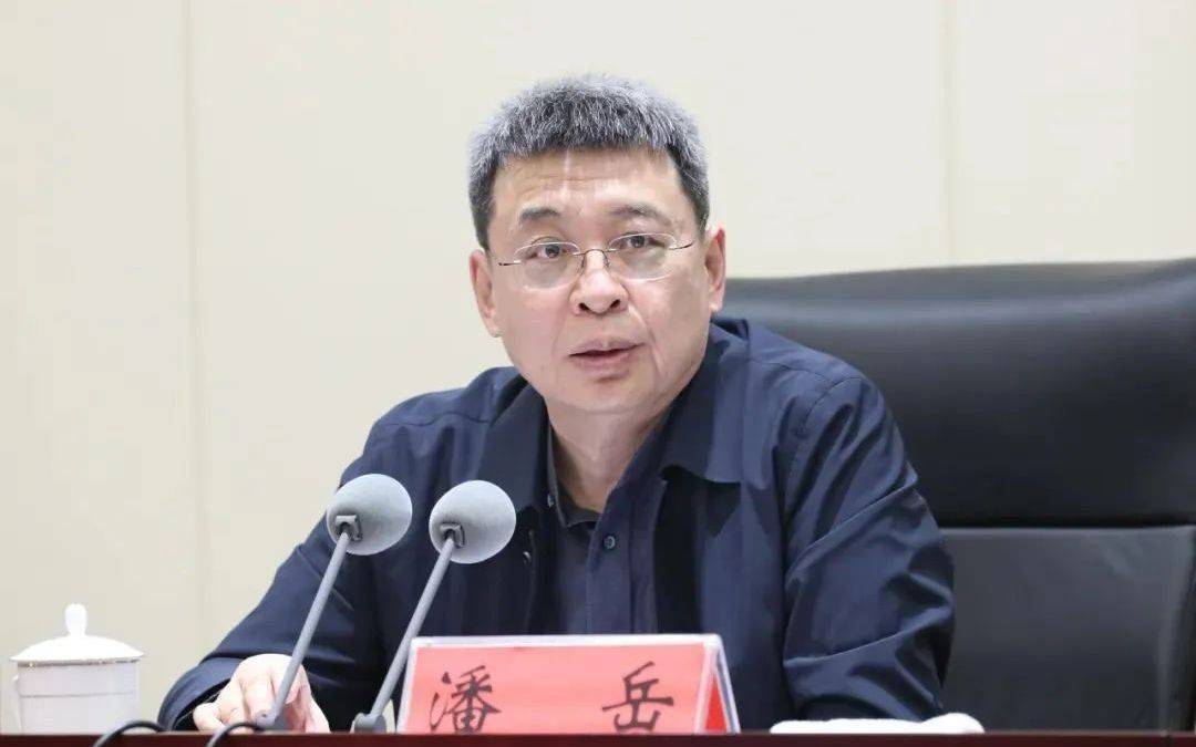 正部级潘岳<strong></p>
<p>天龙集团股票</strong>，有新职