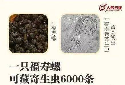 别吃！寄生虫多达6000条！浙江一地大量出现<strong></p>
<p>天龙集团股票</strong>，看到立刻上报