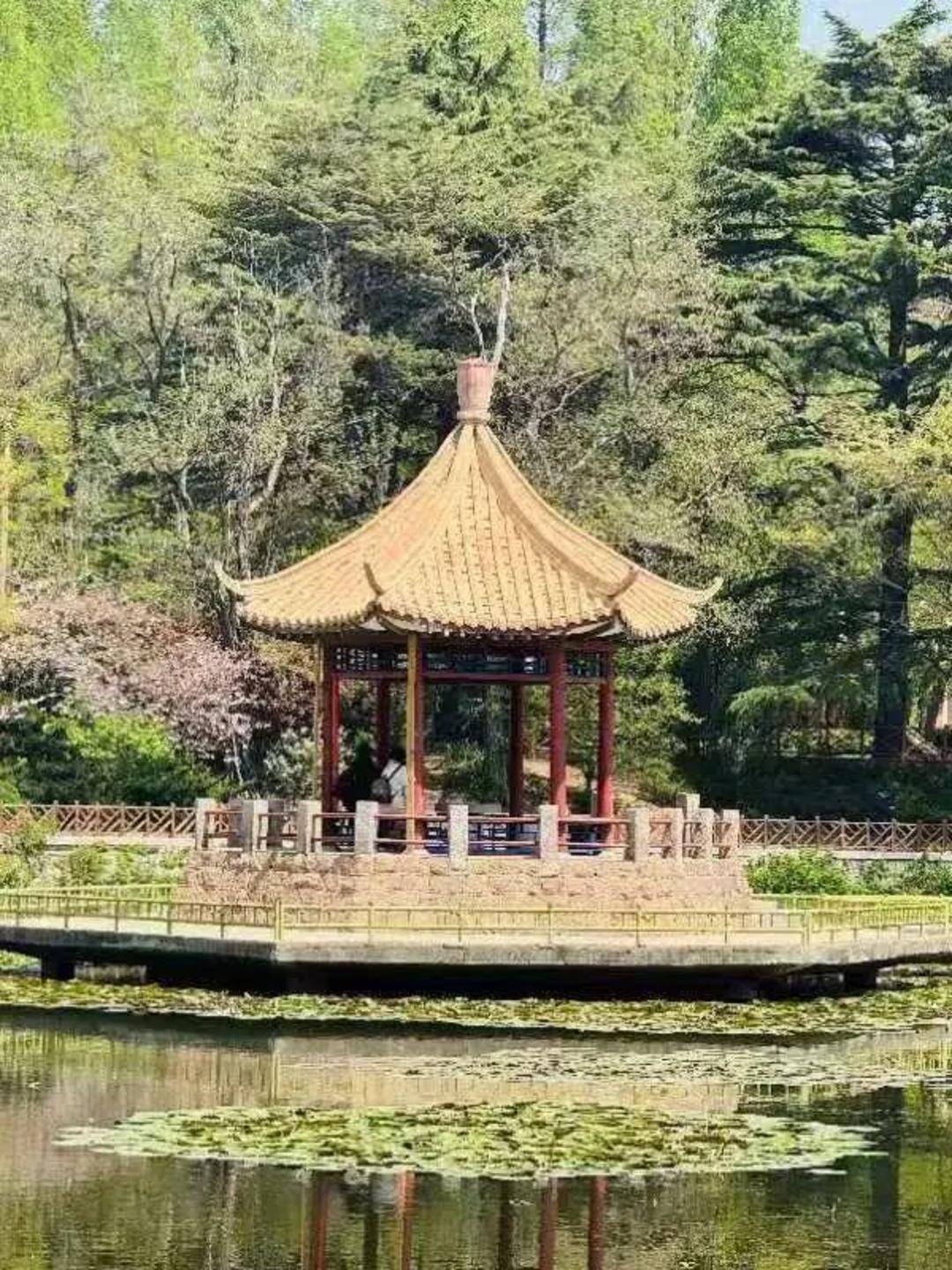 青岛中山公园一凉亭突然倒塌：一年前刚完成修缮<strong></p>
<p>南宁百货股票</strong>，园方称无伤亡原因待查