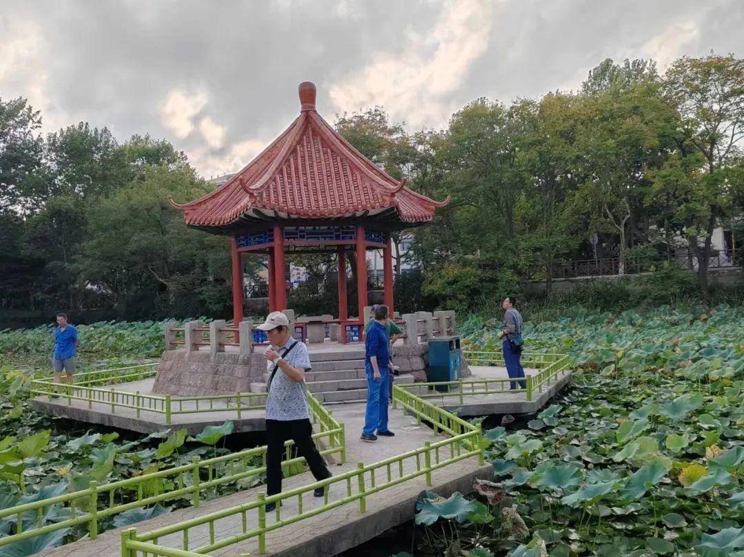 青岛中山公园一凉亭突然倒塌：一年前刚完成修缮<strong></p>
<p>南宁百货股票</strong>，园方称无伤亡原因待查