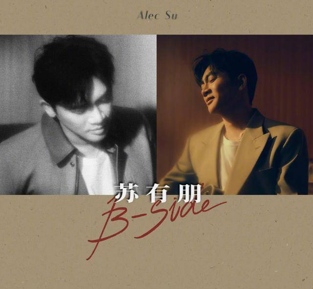 苏有朋音乐会普通票不能合影<strong></p>
<p>哔哩哔哩股票</strong>，本人回应