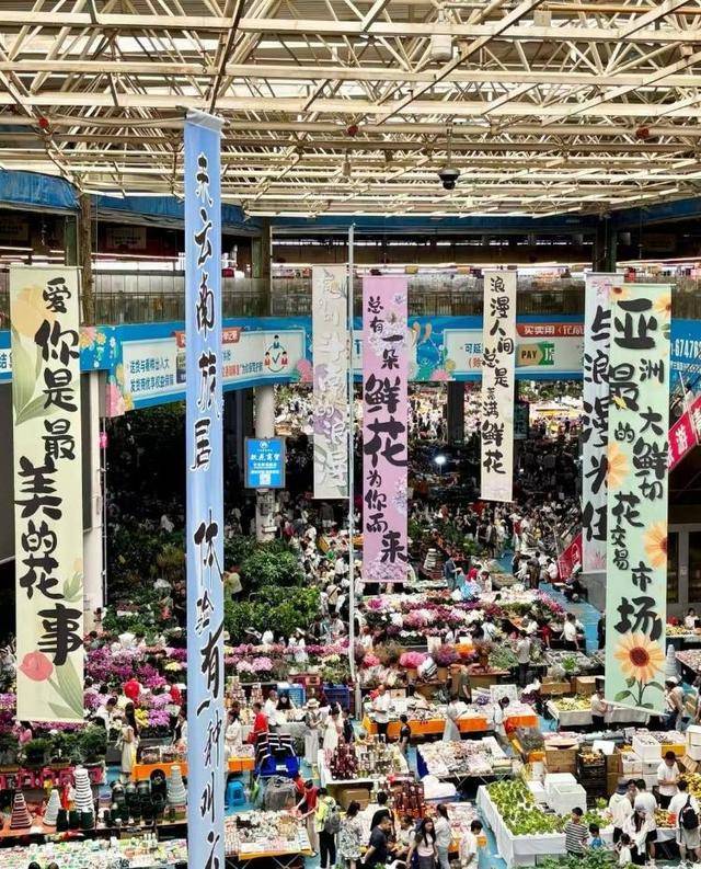 七夕不送玫瑰改送花菜<strong></p>
<p>哔哩哔哩股票</strong>！这一届年轻人“反套路”重新定义浪漫