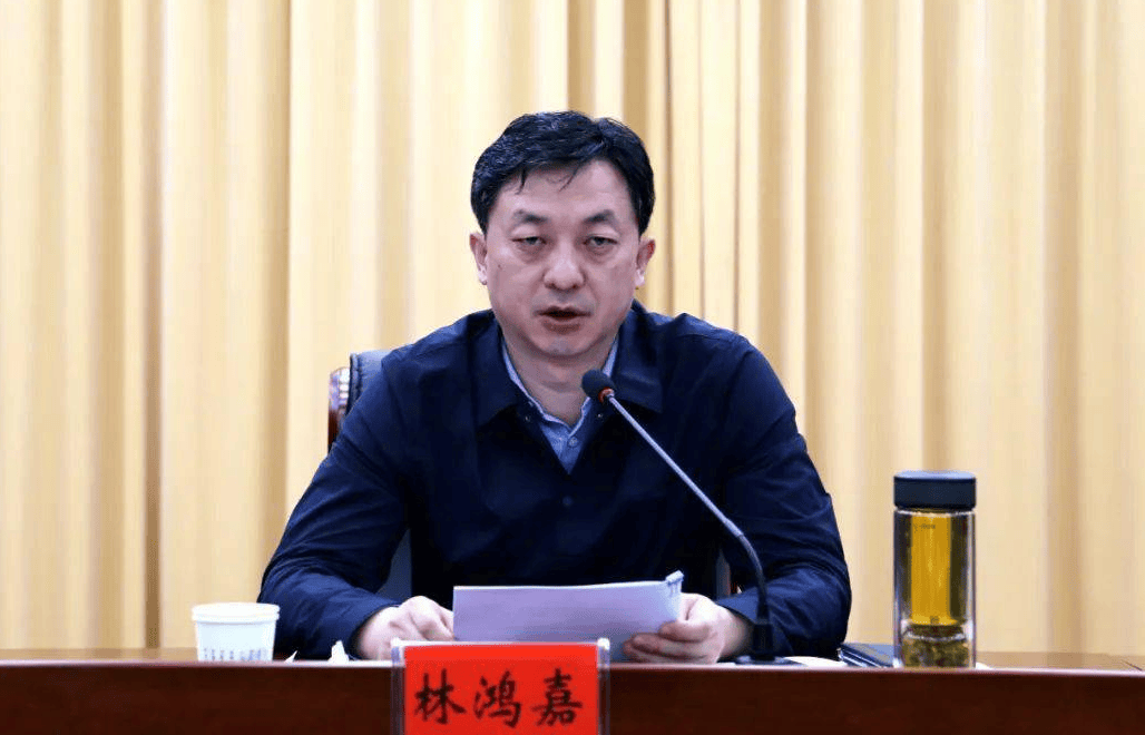 鹤壁市常务副市长林鸿嘉<strong></p>
<p>永泰能源股票</strong>，被罢免市人大代表职务