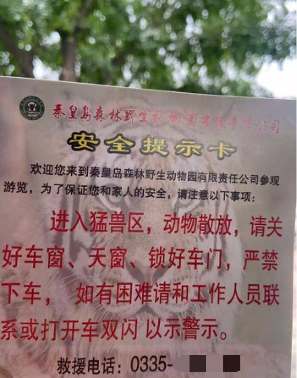 惊险！野生动物园内<strong></p>
<p>永泰能源股票</strong>，两车剐蹭，车主下车沟通老虎一旁围观