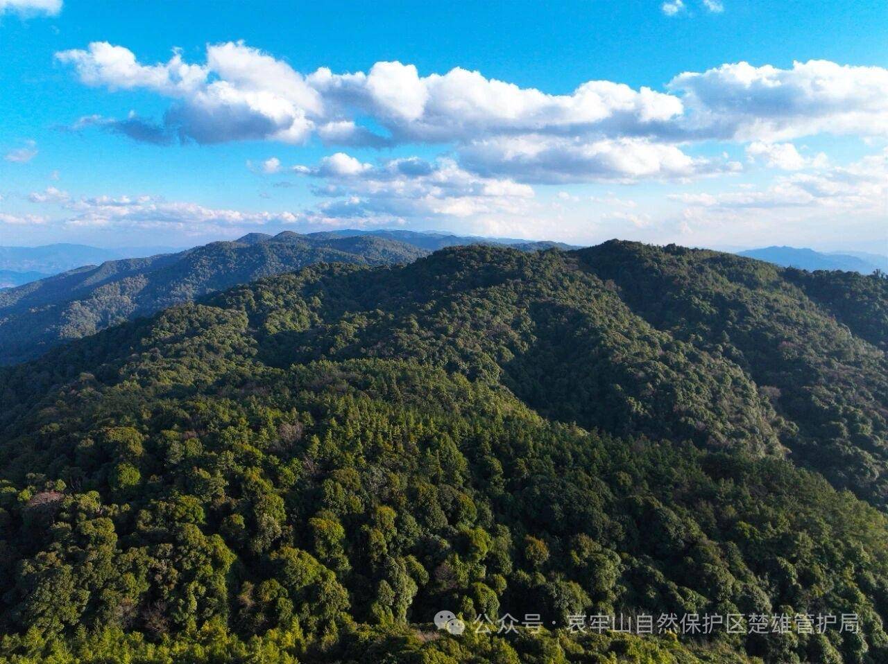 云南哀牢山新规出台：禁止任何单位和个人擅入哀牢山自然保护区<strong></p>
<p>大众交通股票</strong>，从事科研活动须报批