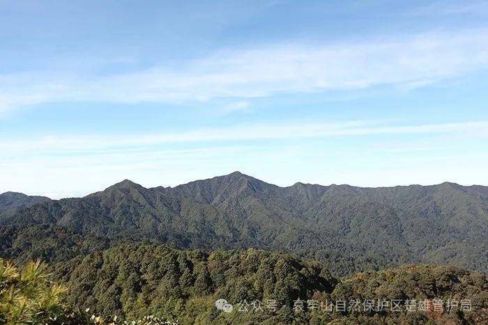 云南哀牢山新规出台：禁止任何单位和个人擅入哀牢山自然保护区<strong></p>
<p>大众交通股票</strong>，从事科研活动须报批