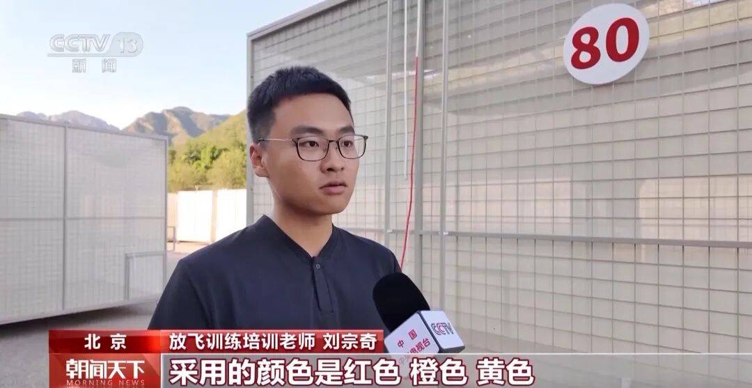 明天将放飞8万羽和平鸽、8万只气球<strong></p>
<p>大众交通股票</strong>，揭秘！
