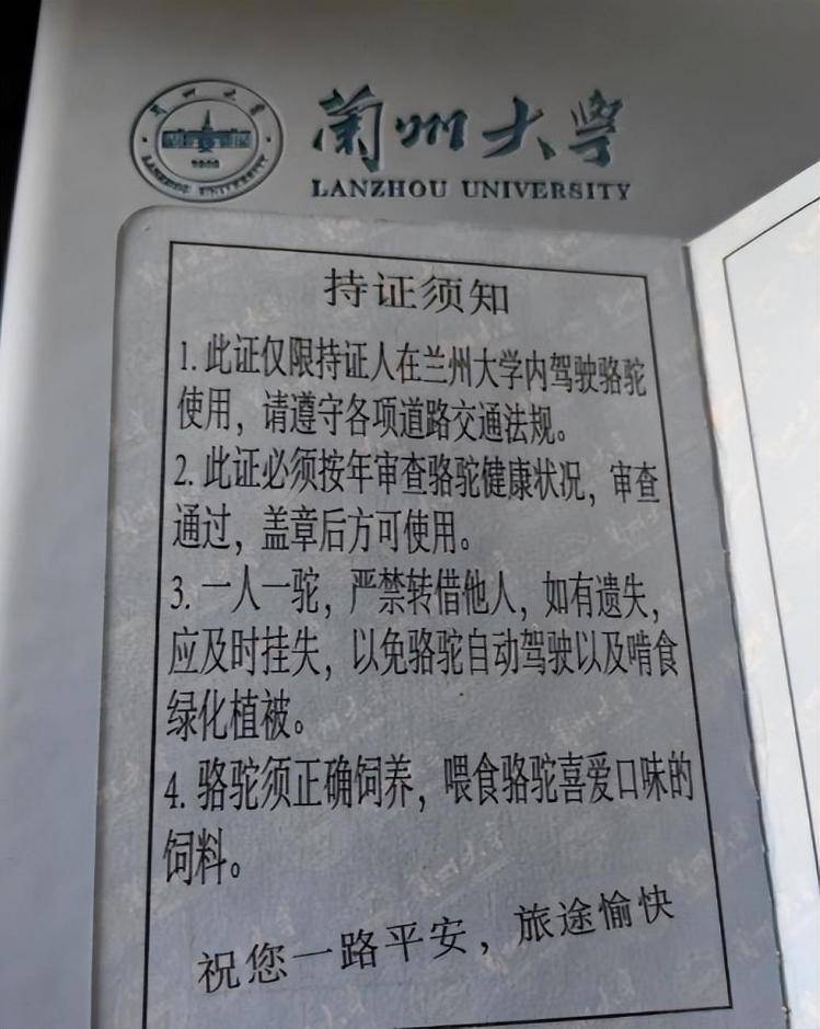 一人一驼<strong></p>
<p>大众交通股票</strong>，骆驼尾气排放超标要扣分？兰大回应学生持证骑骆驼上学：骆驼驾驶证为学校文创，非官方证件