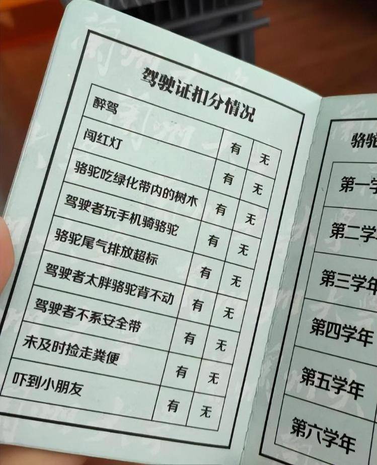 一人一驼<strong></p>
<p>大众交通股票</strong>，骆驼尾气排放超标要扣分？兰大回应学生持证骑骆驼上学：骆驼驾驶证为学校文创，非官方证件